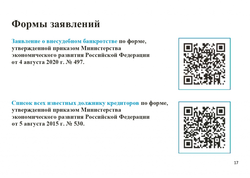 Памятка по процедуре внесудебного банкротства_page-0017.jpg